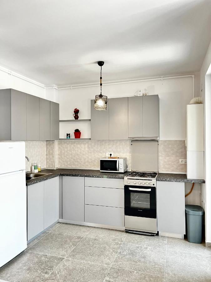 Apartment Mara 2 Timisoara Exterior photo